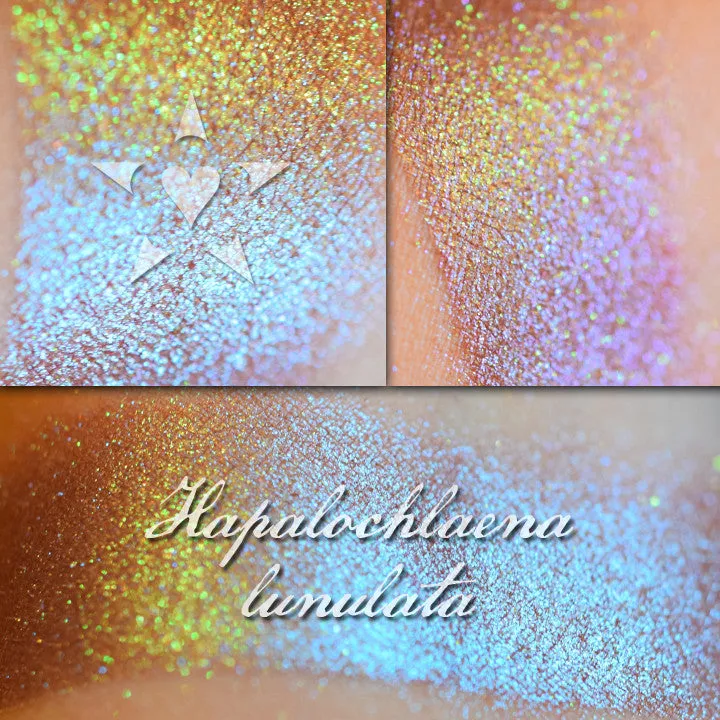 HAPALOCHLAENA  - chromatic Eyeshadow