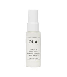 Leave In Conditioner Deluxe Sample
