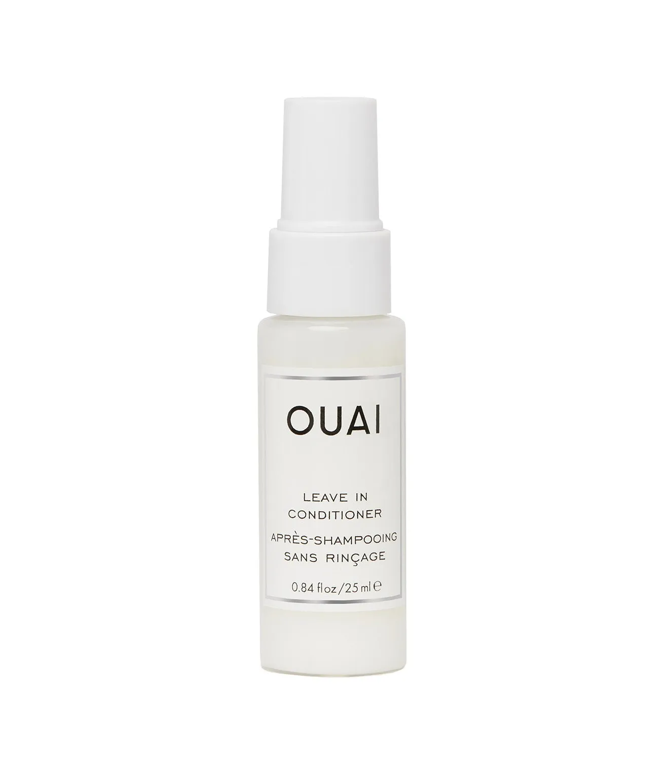 Leave In Conditioner Deluxe Sample