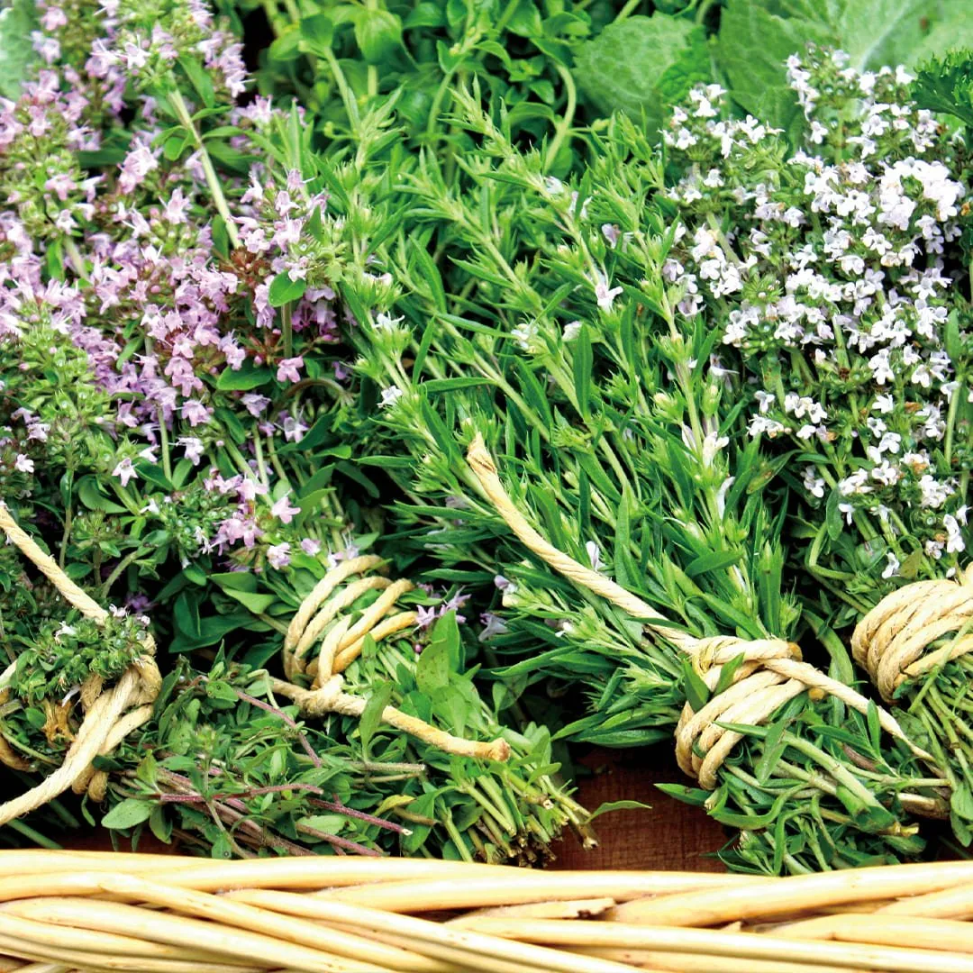 Lemon Thyme Hydrosol