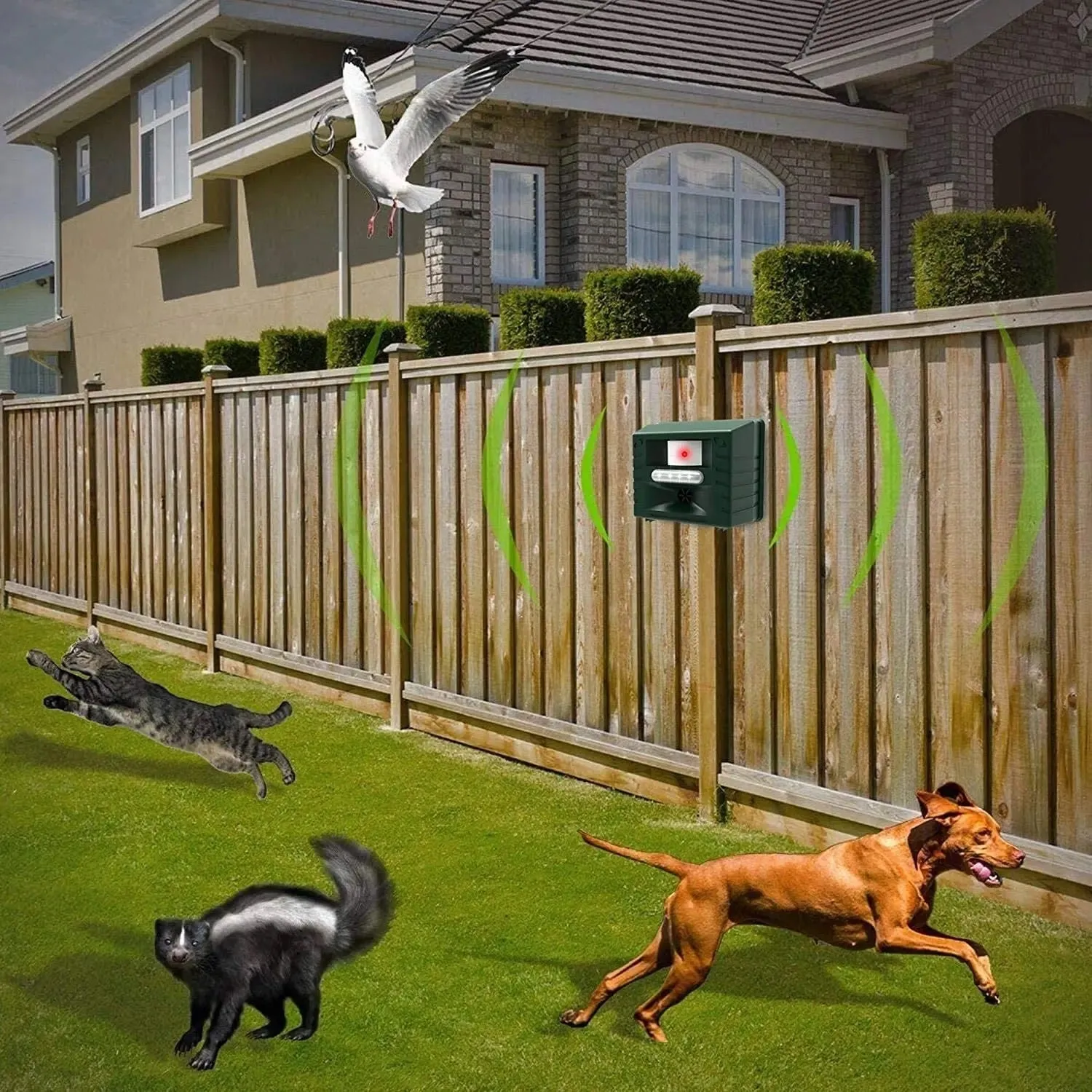 Woodpecker Ultrasonic Repeller - Effective Bird Control